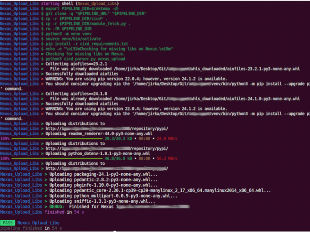 CI/CD Nexus PyPi image