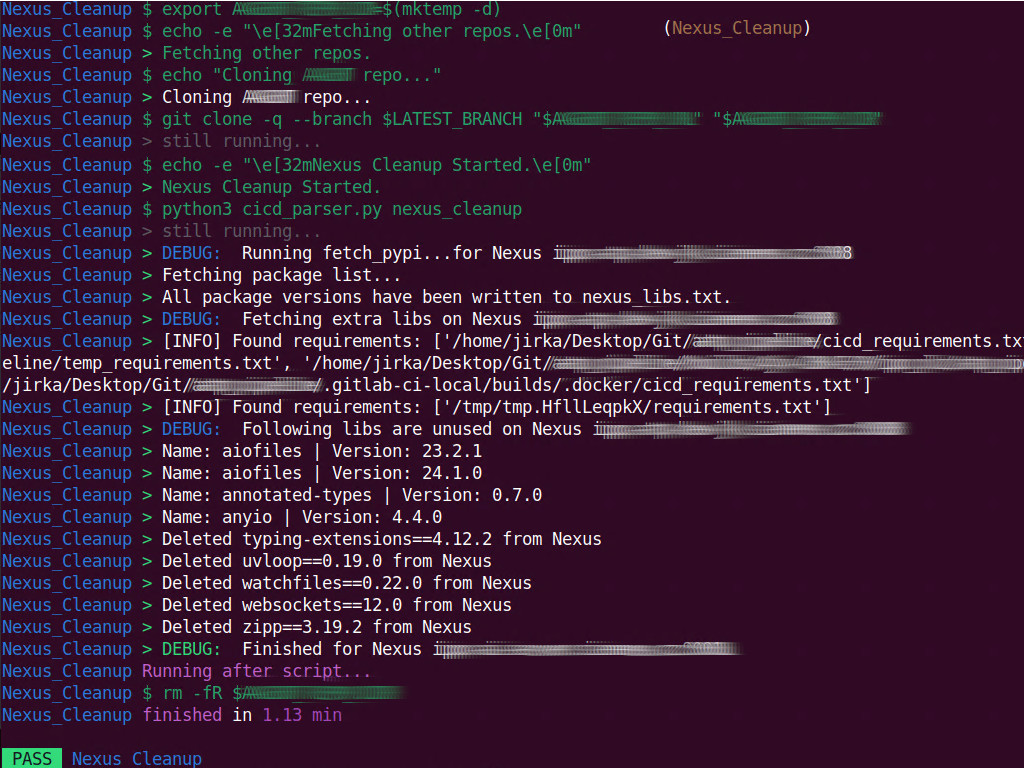 CI/CD Nexus PyPi image